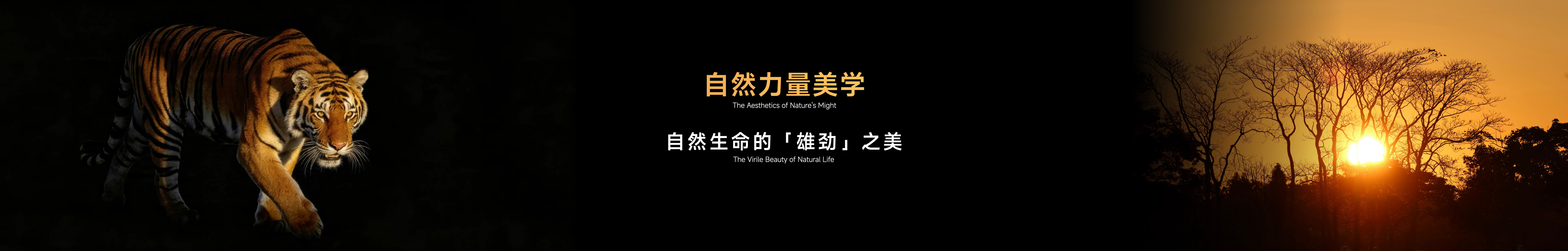 全新一代瑞虎9上市发布会keynote设计